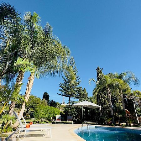 La Pina Verde Εστεπόνα Εξωτερικό φωτογραφία
